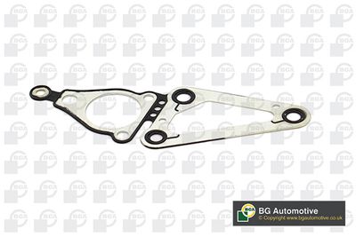 GARNITURA DISTRIBUTIE