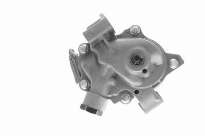 POMPA ULEI ACKOJA A709734 4