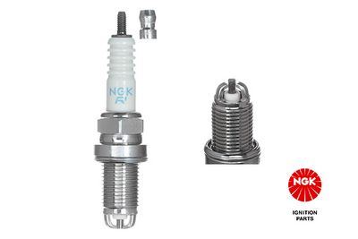 Spark Plug 2197