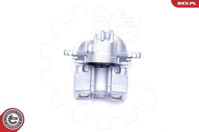 Brake Caliper 42SKV781