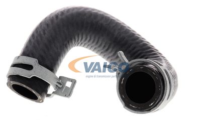 KüHLERSCHLAUCH VAICO V301096 18