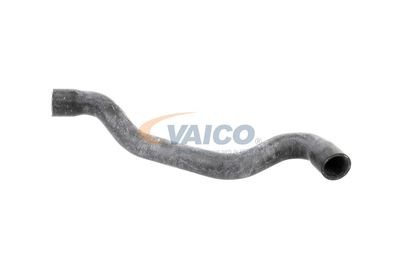KüHLERSCHLAUCH VAICO V102730 39