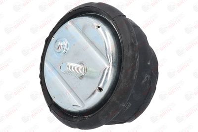 SUPORT MOTOR BIRTH 50123 5