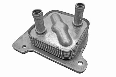 RADIATOR ULEI ULEI MOTOR ACKOJA A38600021 1