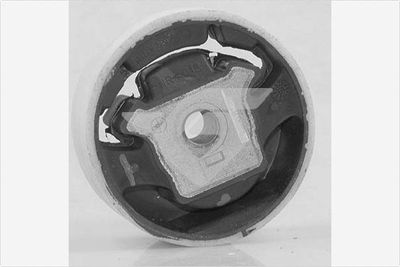 HALTER MOTORAUFHäNGUNG