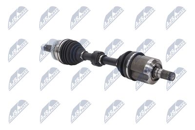 PLANETARA NTY NPWHY581 29