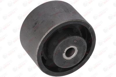 SUPORT MOTOR BIRTH 5610 12