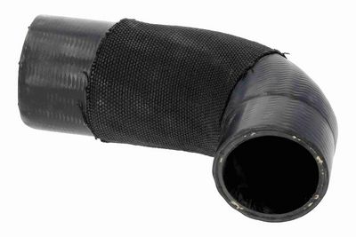 FURTUN EAR SUPRAALIMENTARE ACKOJA A260541 2