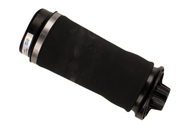 Air Spring, suspension 40-148359