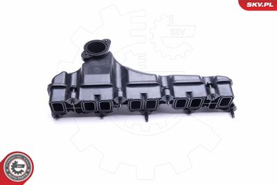 Intake Manifold Module 49SKV032