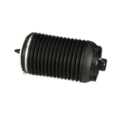 LUFTFEDER FAHRWERK Arnott A3295 41