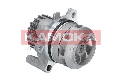 Water Pump, engine cooling T0034