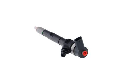 INJECTOR REMANTE 002003001196R 21