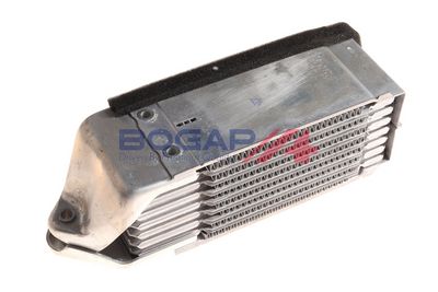 RADIATOR ULEI ULEI MOTOR BOGAP A4222117 1