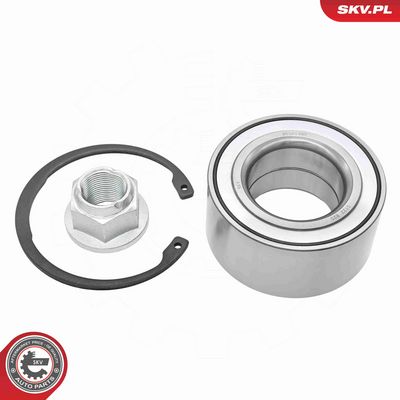 SET RULMENT ROATA ESEN SKV 85SKV045 1