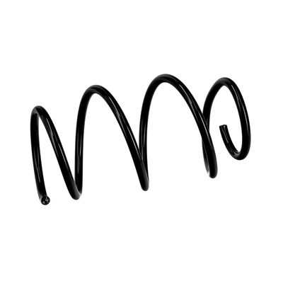 ARC SPIRAL EIBACH R10127 18