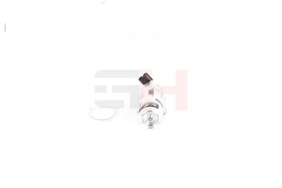 SUPAPA EGR GH GH732212 45