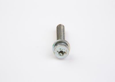 Skrue BOSCH F 002 D13 698