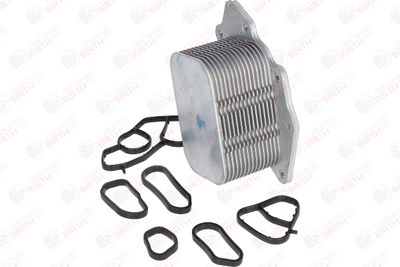 RADIATOR ULEI ULEI MOTOR BIRTH 80047 3