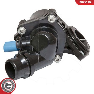 Termostatas, aušinimo skystis