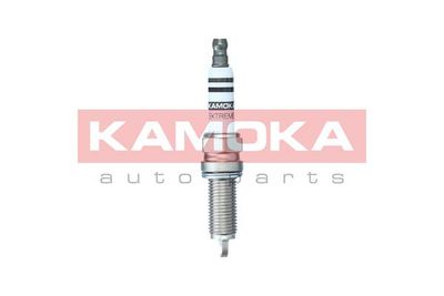 Spark Plug 7090562