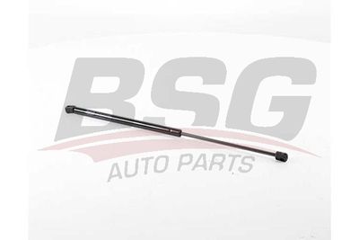 BSG BSG 25-980-022 Амортизатор багажника и капота  для FIAT TIPO (Фиат Типо)