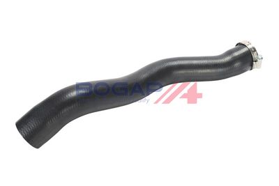 FURTUN EAR SUPRAALIMENTARE BOGAP R1711215
