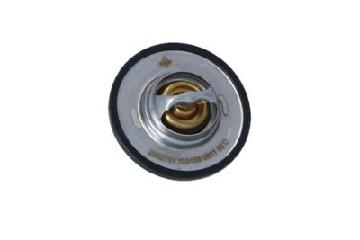 TERMOSTAT LICHID RACIRE NRF 725156 45