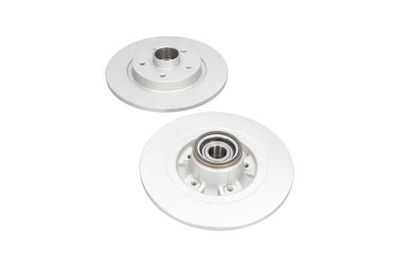 DISC FRANA Kavo Parts BR10010C 21