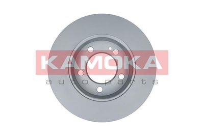 Brake Disc 103196