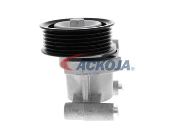 INTINZATOR CUREA CUREA DISTRIBUTIE ACKOJA A320602 49
