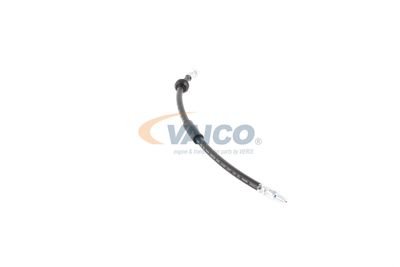 FURTUN FRANA VAICO V201908 45