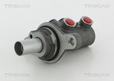 TRISCAN 8130 10119 Ремкомплект тормозного цилиндра  для SUZUKI SPLASH (Сузуки Сплаш)