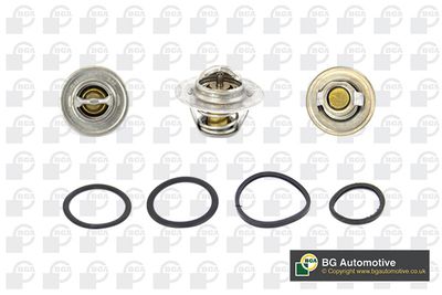 Termostat, chladivo BGA CT5429K