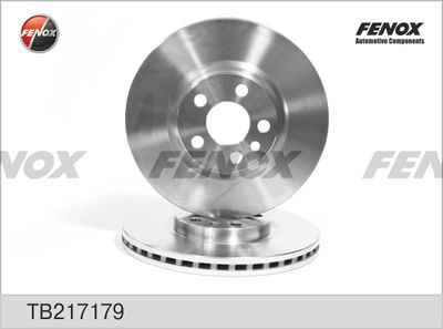 FENOX TB217179 Тормозные диски  для PEUGEOT 806 (Пежо 806)