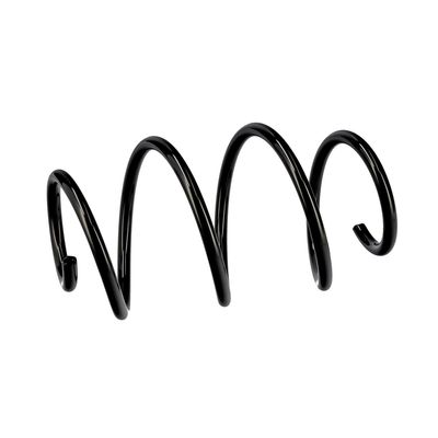 ARC SPIRAL EIBACH R10248 18