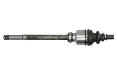 Drivaxel PASCAL G2P012PC för CITROËN