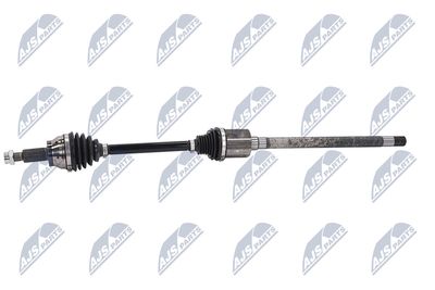 PLANETARA NTY NPWLR031 23