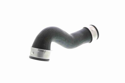 FURTUN EAR SUPRAALIMENTARE VAICO V103761 4