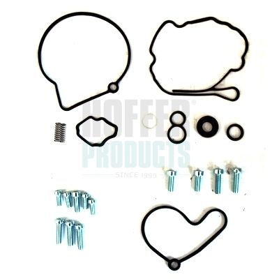 SET REPARATIE POMPA VACUUM (SISTE FRANA)