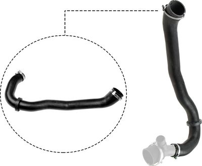 FURTUN EAR SUPRAALIMENTARE