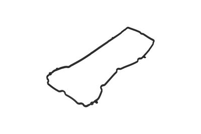 GARNITURA CAPAC SUPAPE