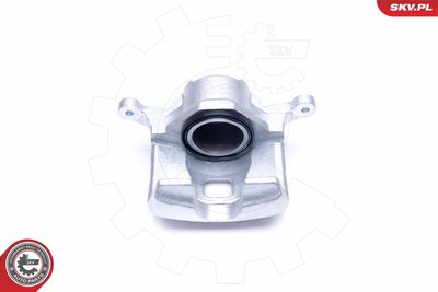 Brake Caliper 45SKV391