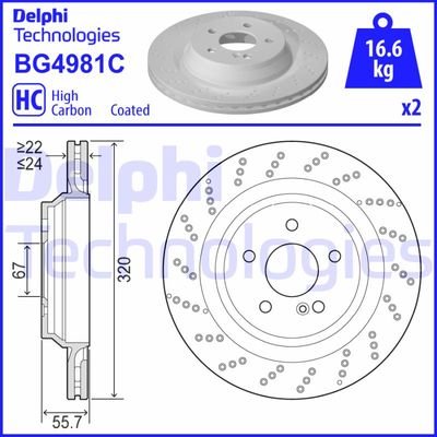 Bromsskiva DELPHI BG4981C