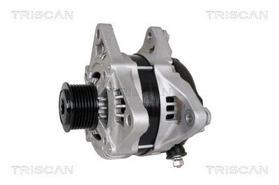 Generator TRISCAN 8310 69013