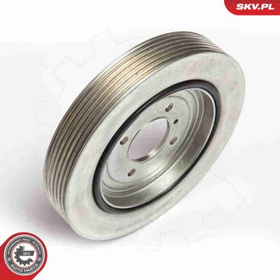 FULIE CUREA ARBORE COTIT ESEN SKV 95SKV311 1