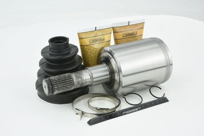 SET ARTICULATIE PLANETARA FEBEST 2011NITLH 48