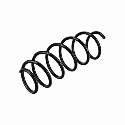 ARC SPIRAL EIBACH R11019 16