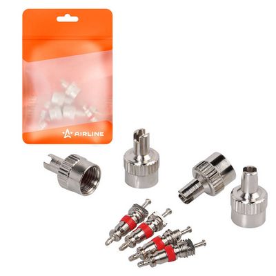 Комплект золотников, сервисный нипель Airline ATRS013