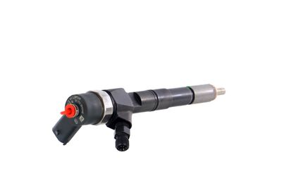 INJECTOR REMANTE 002003001674R 33